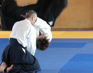 Aikido Kampfkunst Bern